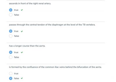 GSSE question bank, GSSE practice question, GSSE question, GSSE example question, GSSE Question Type X, Multiple true/false, GSSE study, GSSE revision - Primary Anatomy