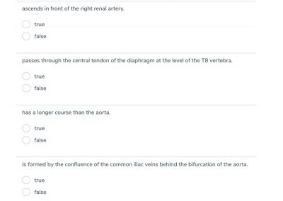 GSSE question, GSSE practice question, GSSE question bank, GSSE revision, GSSE preparation, GSSE study, GSSE anatomy, Surgical anatomy, Primary Anatomy