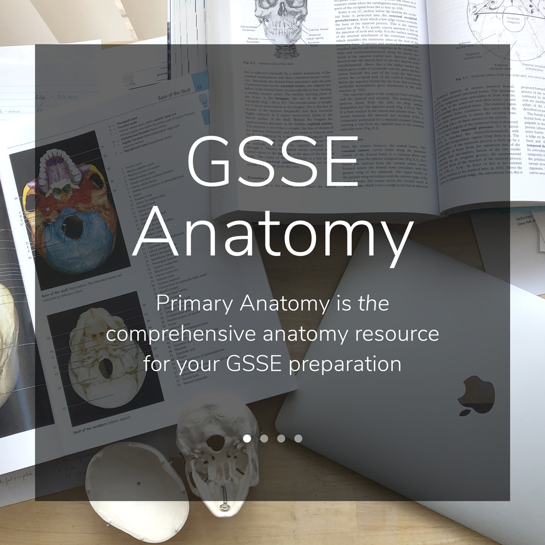 Primary Anatomy – GSSE – Generic Surgical Sciences Exam – Anatom