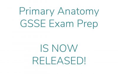 Primary Anatomy, Is Now Released!