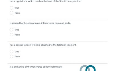 The Diaphragm – MCQ