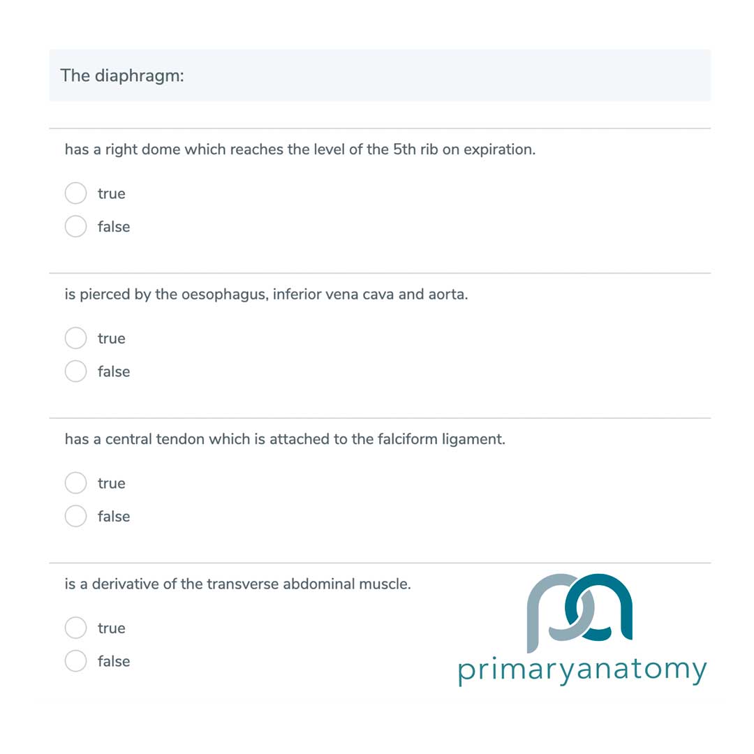 Practice question to help prepare for the Generic Surgical Sciences Exam (GSSE)