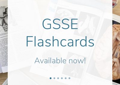 Example of Primary Anatomy's GSSE Flashcard set