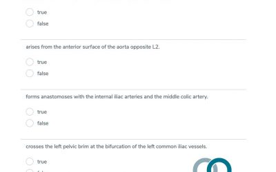 Blood Supply of the GIT