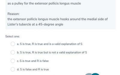 Question Type B – Listers Tubercle