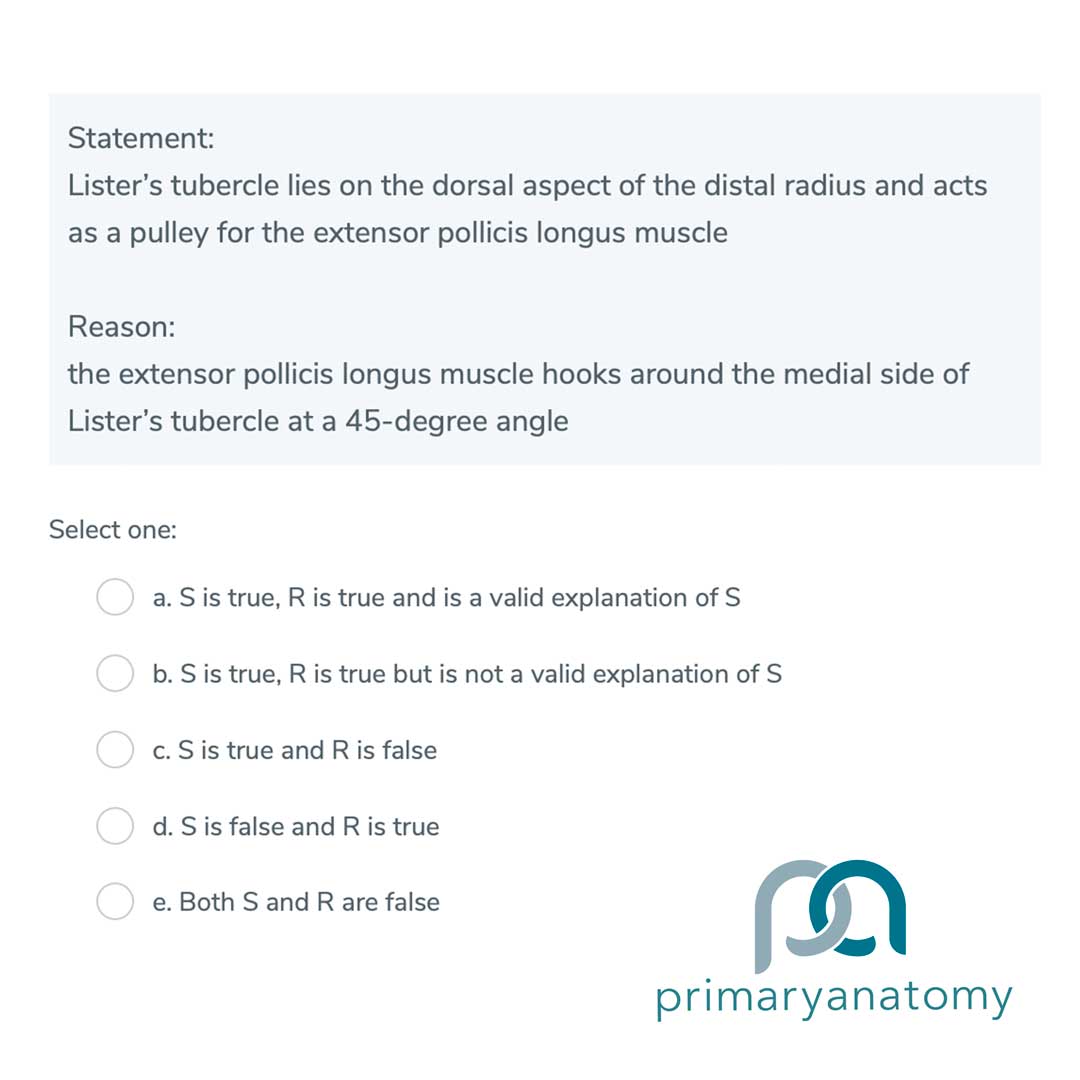 Listers tubercle- GSSE Statement and reasoning question (Type B) GSSE example question (Statement and Reasoning) - GSSE Question Type B