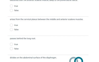 Don’t put your study on hold