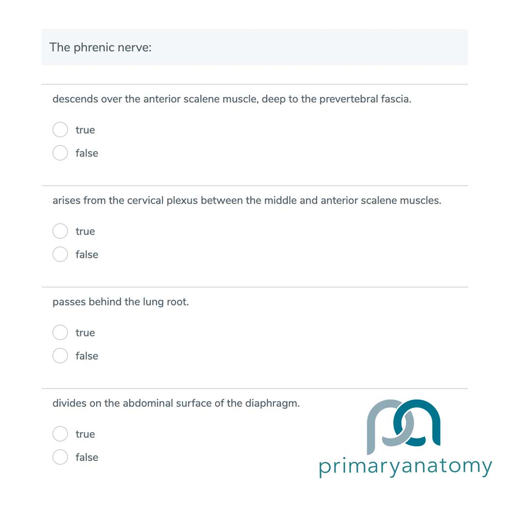 Primary-Anatomy-PhrenicNerveQu Motivation to focus on your GSSE study and surgical anatomy