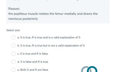 Statement & Reasoning