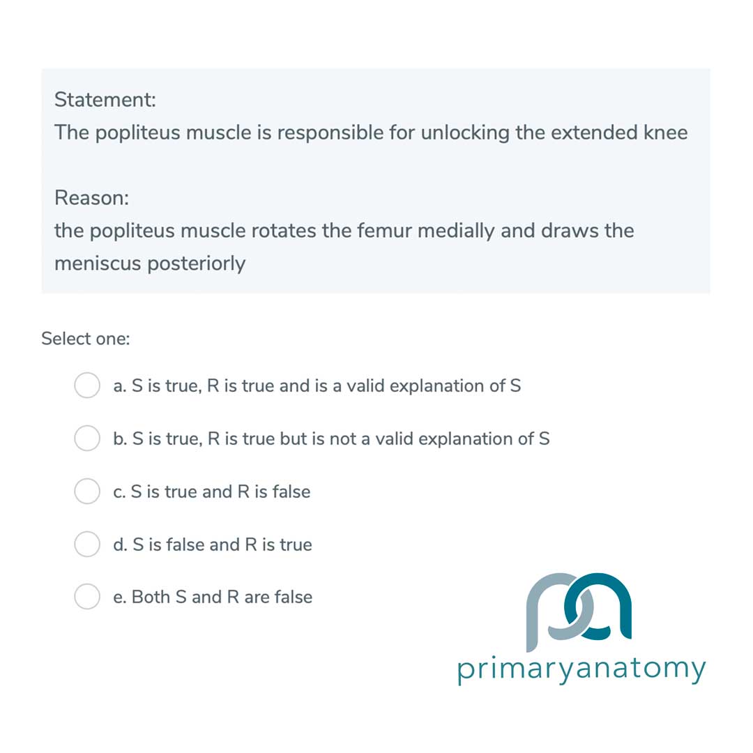 GSSE statement and reasoning question on the anatomy of the popliteus muscle to assist with your GSSE revision
