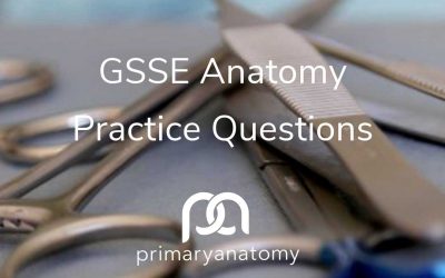 GSSE Practice Questions