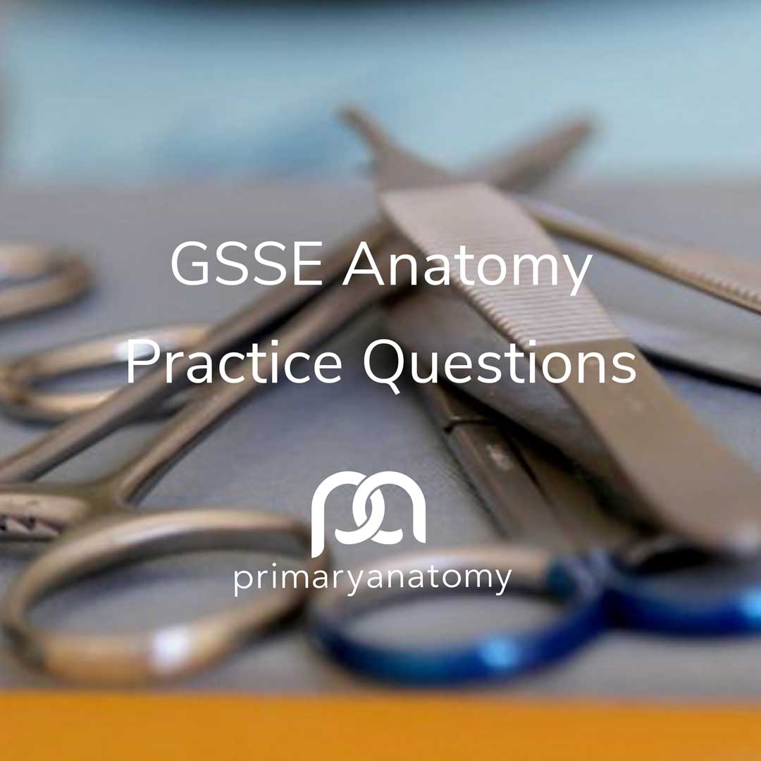 Over 15,000 GSSE Practice Questions from the Primary Anatomy question bank