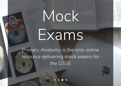 GSSE study, GSSE preparation, GSSE revision, GSSE questions, GSSE exam, GSSE practice exam, GSSE practice questions, GSSE question bank, Primary Anatomy