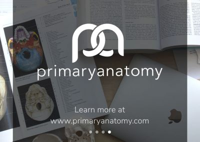 Anatomy for the Generic Surgical Sciences Exam - Primary Anatomy - GSSE resource