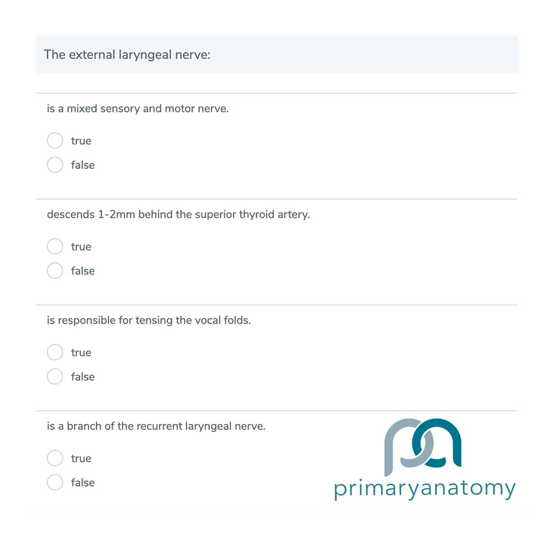 GSSE practice question
