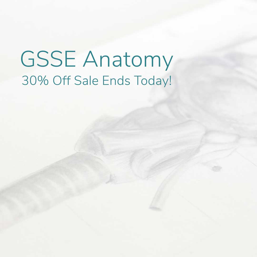 GSSE study plans offered by Primary Anatomy - start your GSSE preparation today