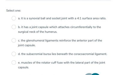 Shoulder Joint – Single Best Answer