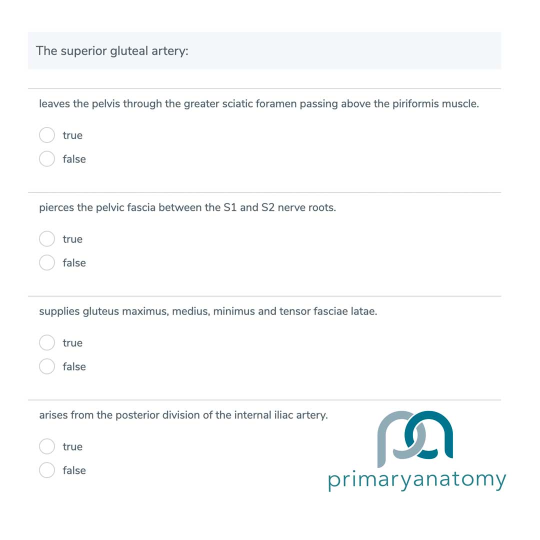 GSSE MCQ on the anatomy of the pelvis - GSSE Question Type X
