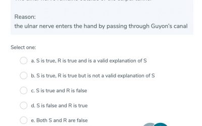 GSSE Question Type B