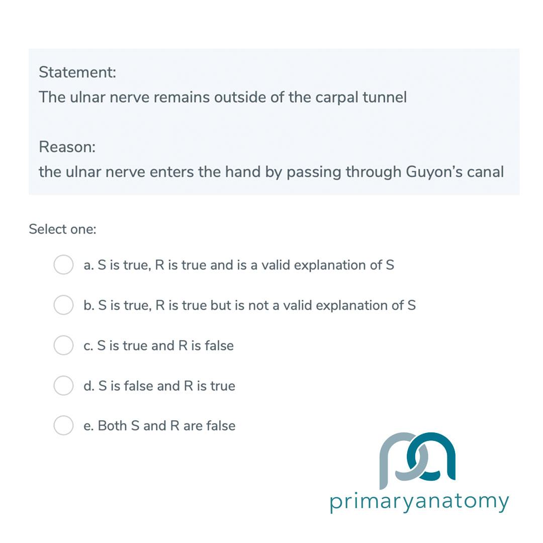 GSSE Question Type B An example of a GSSE question type B from Primary Anatomy's Question Bank