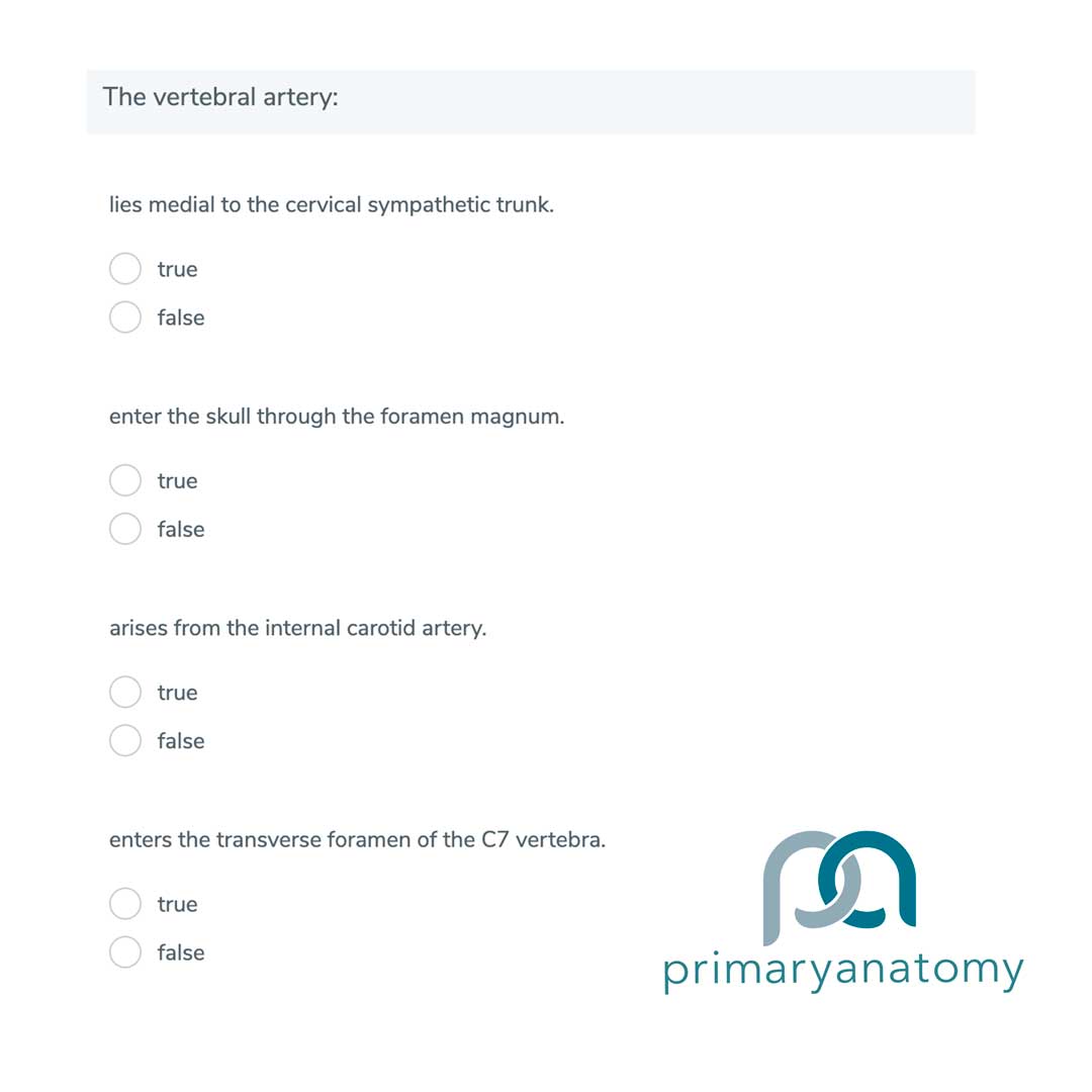 GSSE practice question type X on head and neck anatomy to assist with revision for the GSSE exam