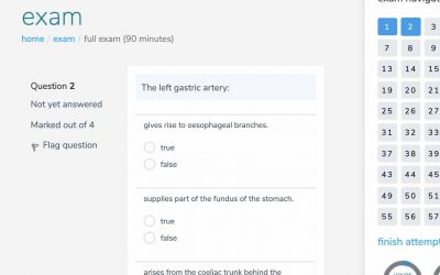 Perfect Your Exam Technique