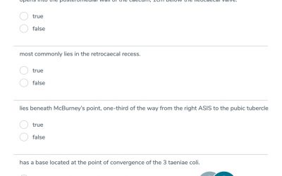 The Appendix – Question Type X