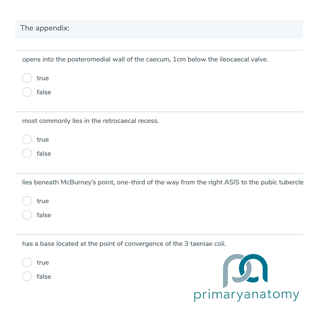 GSSE Question Type X – The Appendix Example of a GSSE question type X from the Primary Anatomy question bank.