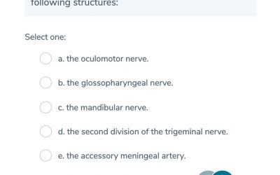 Single Best Answer – Cranial Foramina