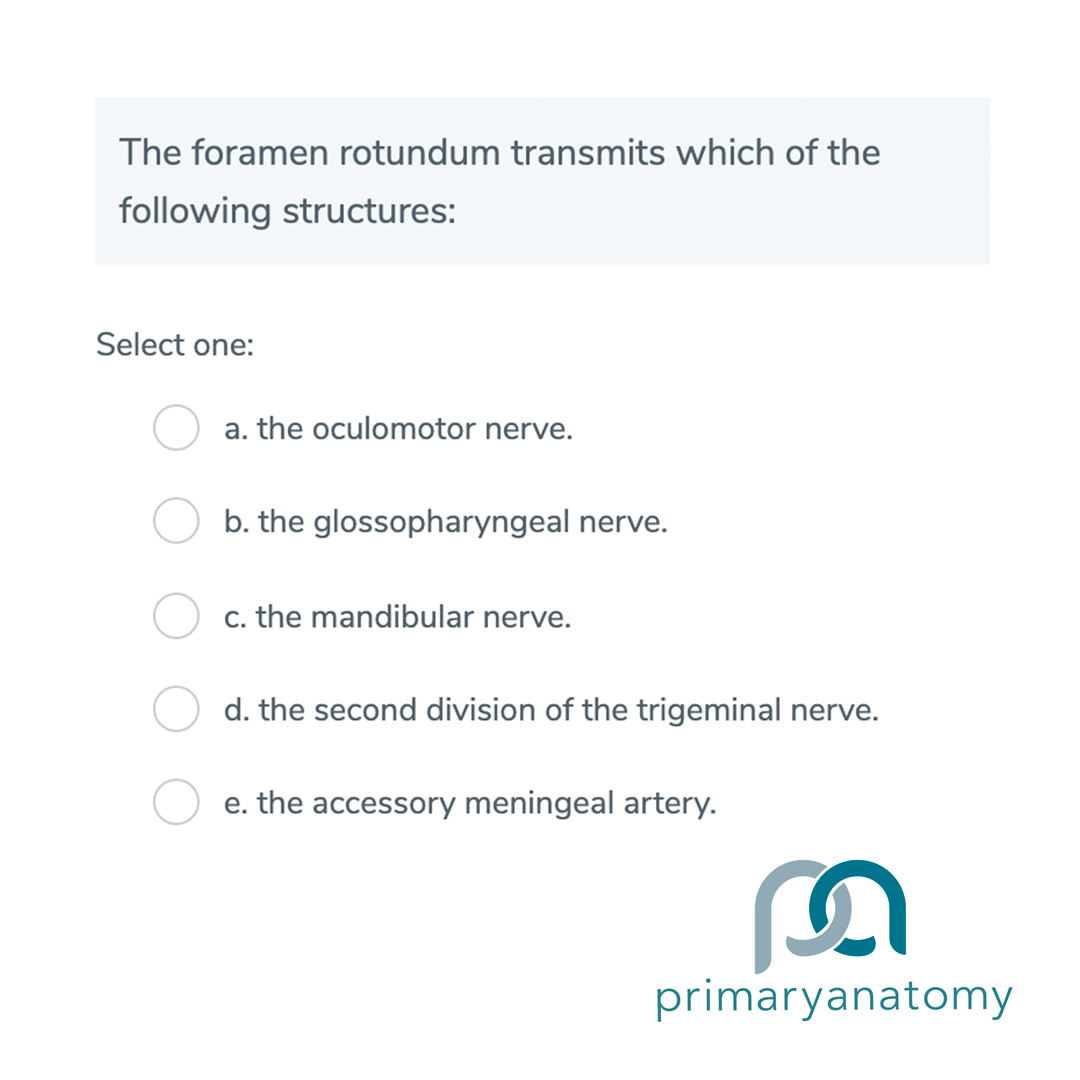 GSSE Question Type A (SBA) GSSE Question Type A (single best answer)