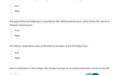 Gastrointestinal Tract Development