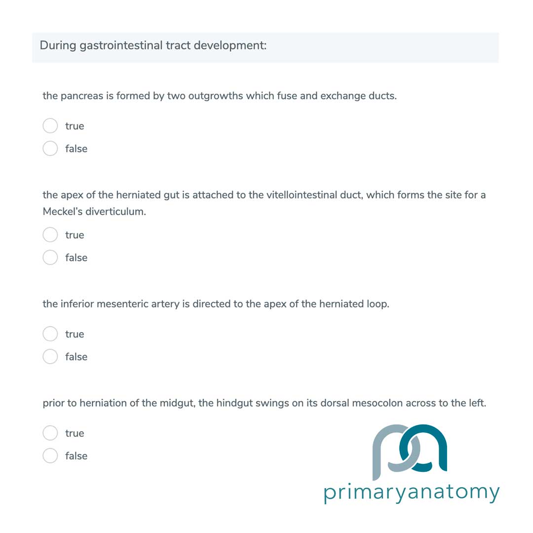 GSSE multiple true false question type (Question type X) GSSE multiple true false question on gastrointestinal tract development (Question Type X)