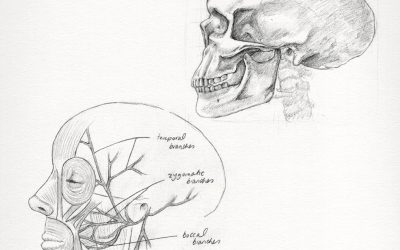 Enhance your Visual Memory