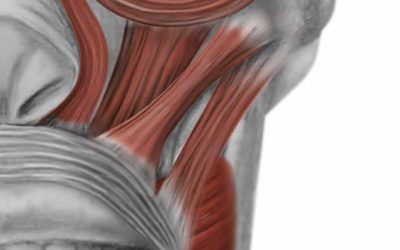 Facial Reanimation Surgery