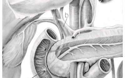 Upper Gastrointestinal Spot Test!