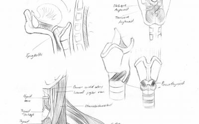 Improve your Visual Memory