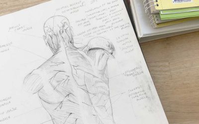 Anatomy is worth 50% of your total score