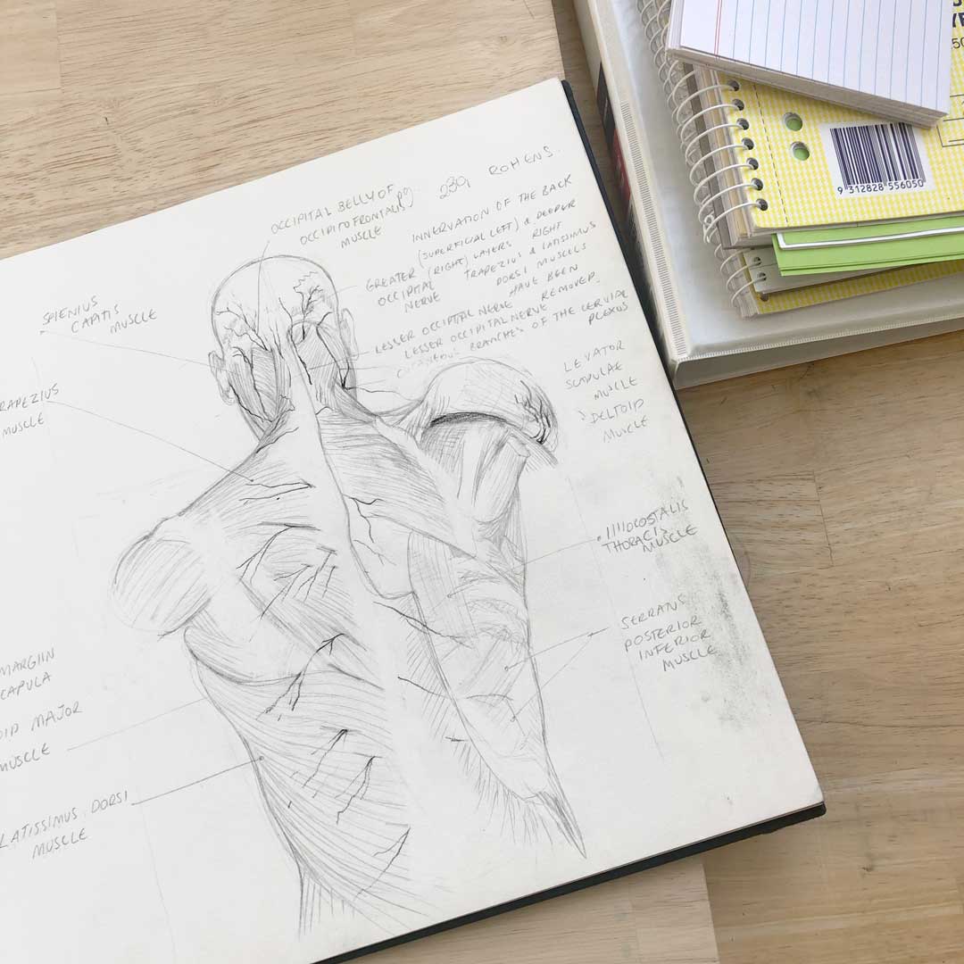 GSSE pass mark Anatomy is worth 50% of your total GSSE mark / score