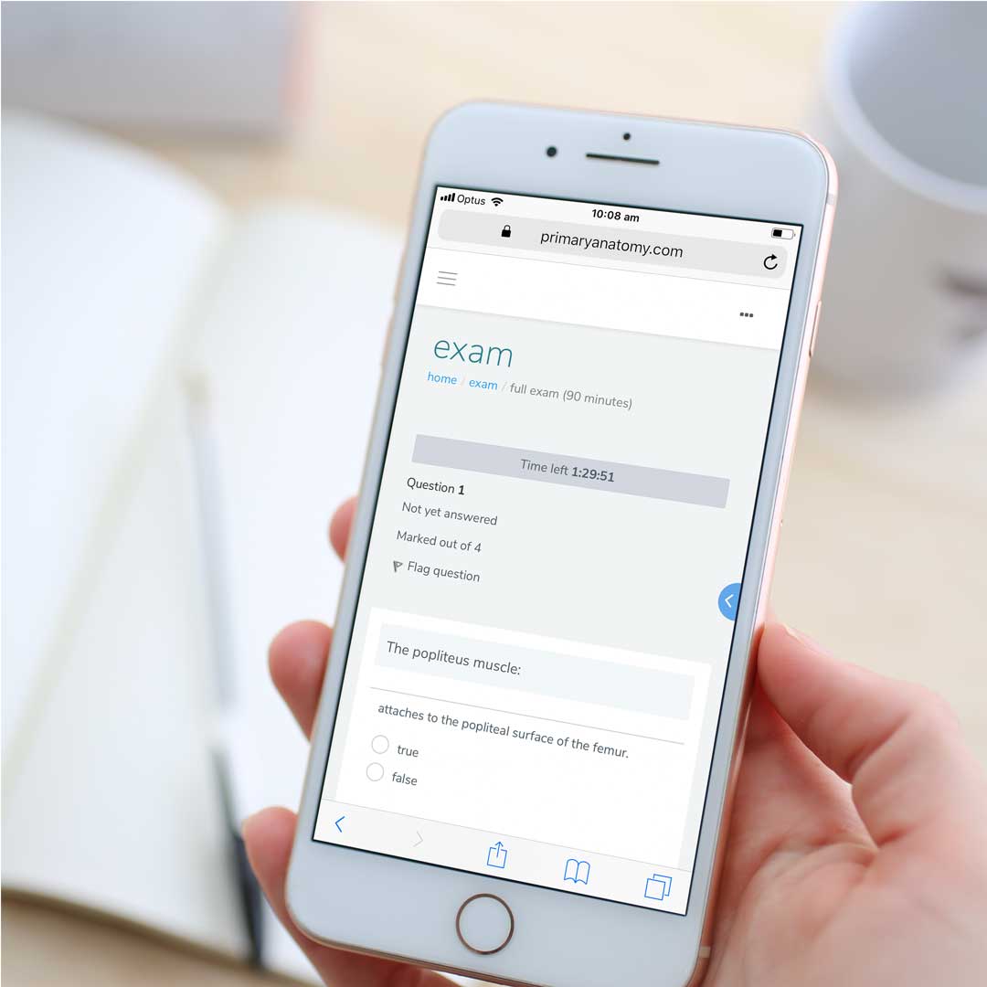 Primary Anatomy – Studying Anatomy The largest GSSE question bank in Australia and New Zealand