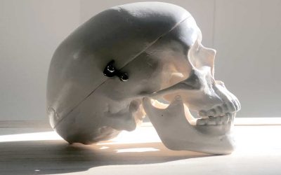 Discipline, Dedication and Hard Work