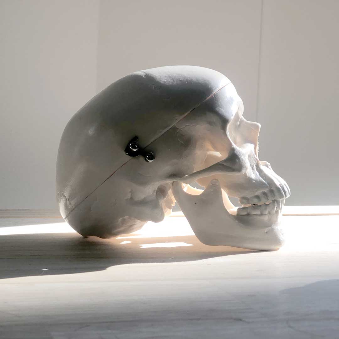 GSSE Surgical Anatomy Discipline, dedication and hard work are required when preparing to sit the generic surgical sciences exam (GSSE)