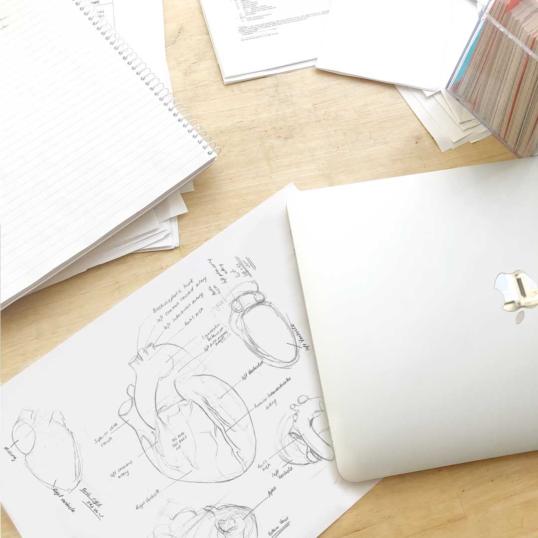 GSSE Anatomy Study Motivation to start your GSSE anatomy study and revision