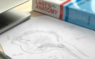 Last’s 9th Edition & Rohens Atlas