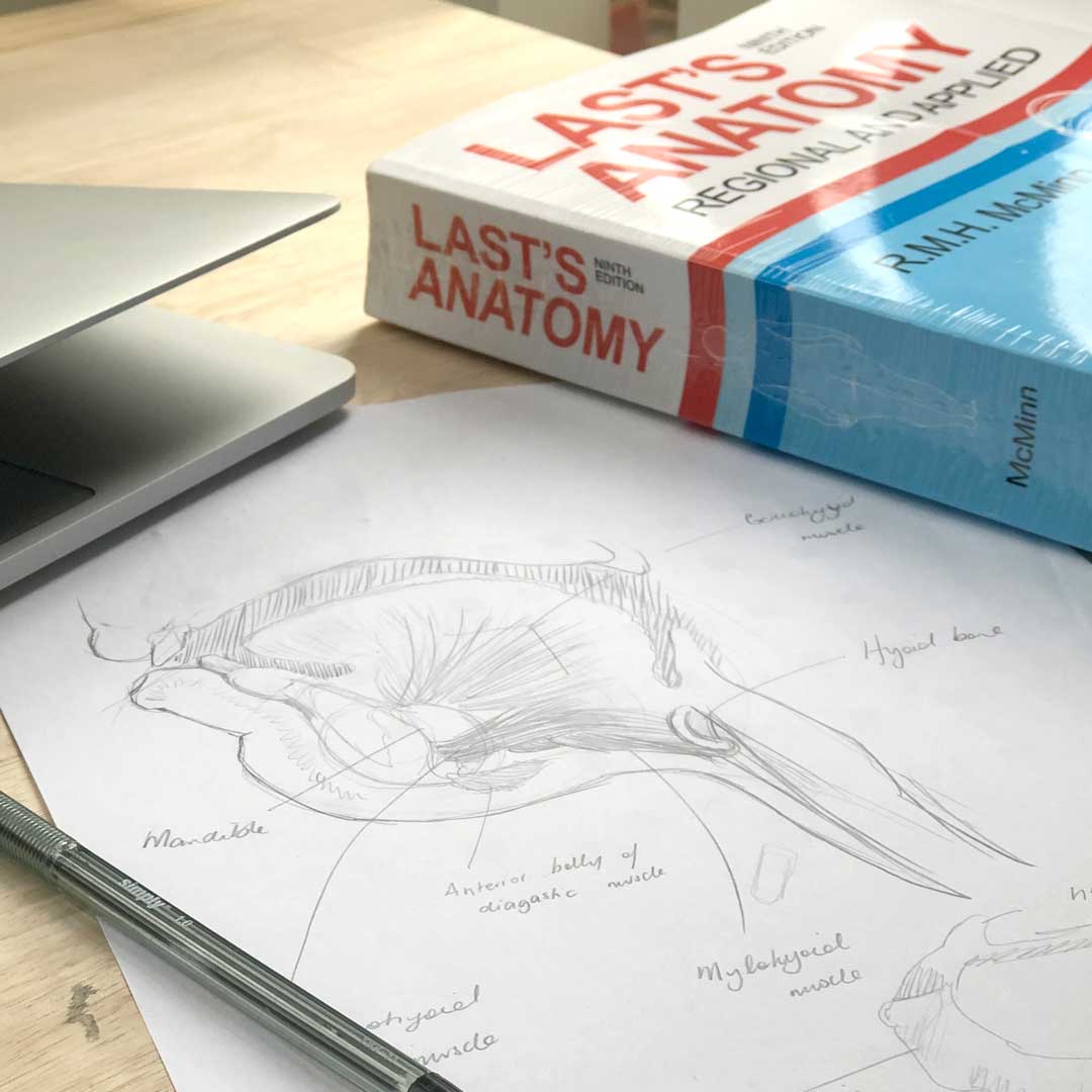 Last’s 9th Edition & Rohens Atlas Recommended text books for the GSSE - Last's Anatomy and Rohens Atlas