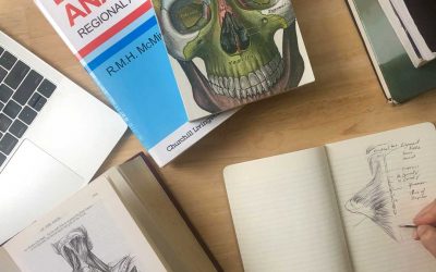 The Complexity of Human Anatomy