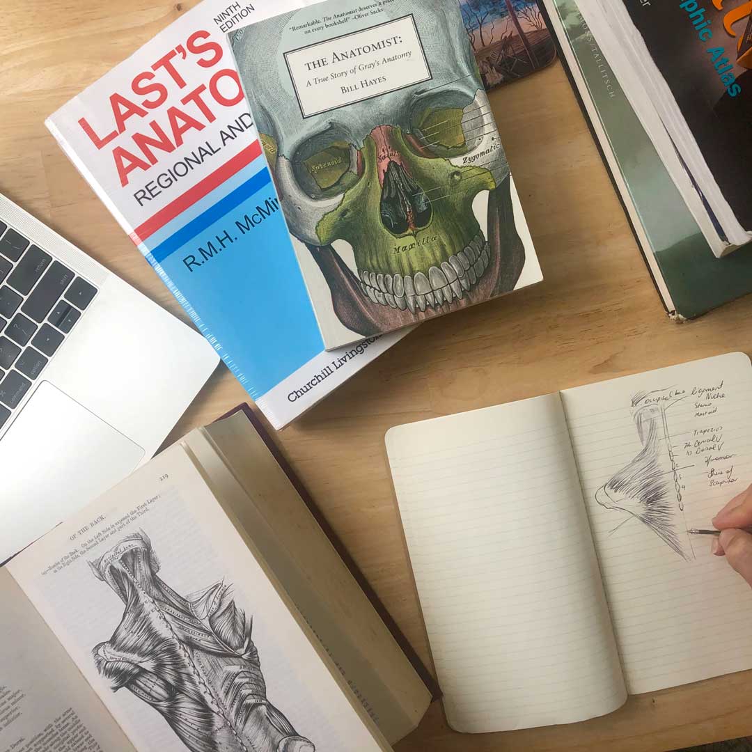 Use the core textbooks Last's Anatomy and Rohens Atlas to study for the Generic Surgical Sciences Exam (GSSE)