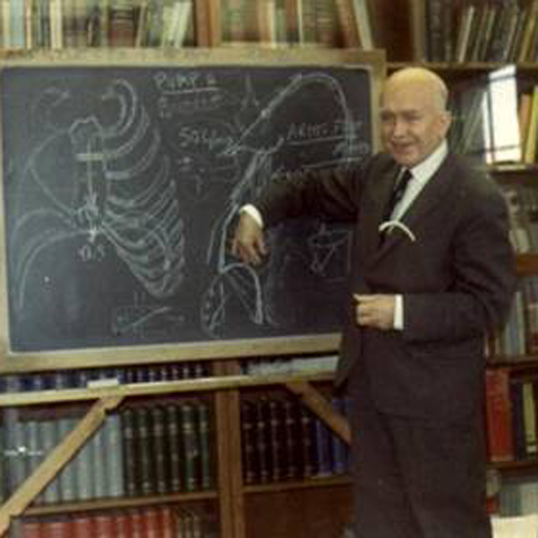 Last’s Anatomy – GSSE – Primary Anatomy Information about Last's Anatomy text book and its author Prof. Last