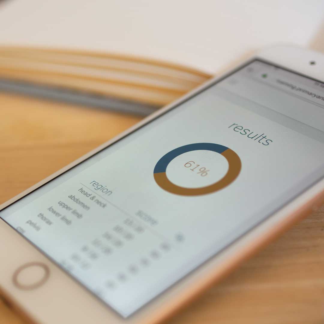 GSSE Anatomy Resource – Accessible on all devices! – Primary Anatomy GSSE Anatomy resource - accessible on all devices - mobile responsive - Primary Anatomy