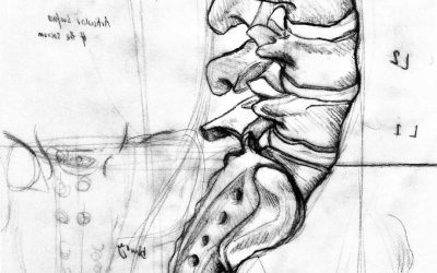 Sketch your Anatomy