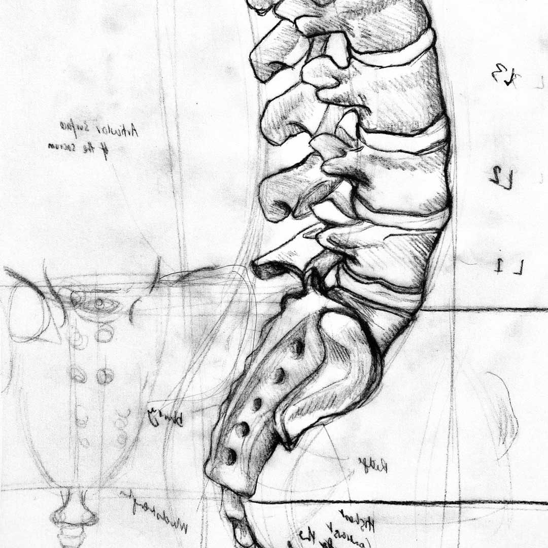 Sketch your Anatomy The importance of sketching anatomy for surgical education and GSSE preparation